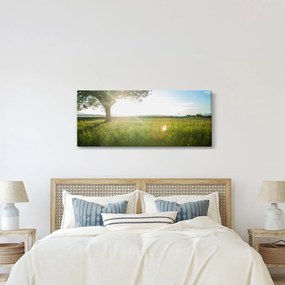 Nyári rét képe (120x50 cm)