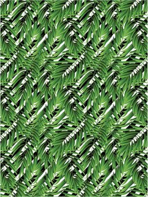 Fotótapéta Pálma és levelek Trópusi minta Relaxáció Egzotika 184x254 +ragasztó