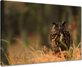 Vászonkép 70x50 Madarak