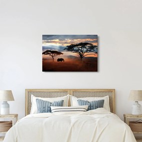 Kép - Serengeti Nemzeti Park, Tanzánia, Afrika (90x60 cm)