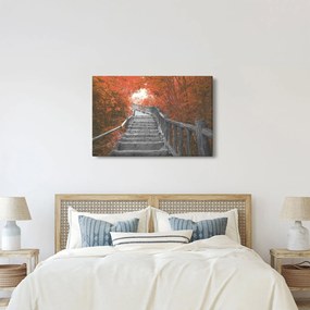 Kép - Lépcsők a természetben, narancssárga (90x60 cm)