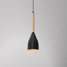 Csillár zsinóron MUZA 1xE27/60W/230V