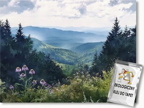 Fotótapéta Flizelina Tájkép Kilátás Hegyek Tátra Hágó Bogáncs 104x70,5 ragasztó