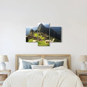Kép - Lámák Machu Picchuban (90x60 cm)