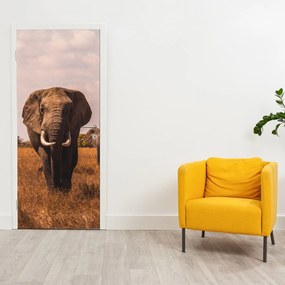 Fotótapéta ajtóra - Az elefánt érkezése (95x205cm)