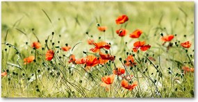 Pipacsok konyhai üvegpanel 120x60 cm Ragasztó