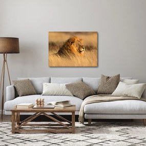 Kép - Etosha Nemzeti Park (70x50 cm)