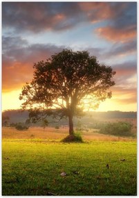 Poszterek 70x100 Varázslatos tájkép