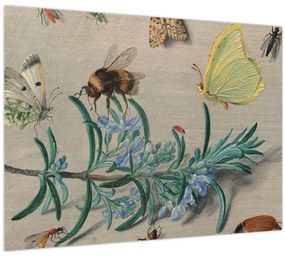 Kép - Jan van Kessel the Elder, Insects and a Sprig of Rosemary, reprodukciók (70x50 cm)