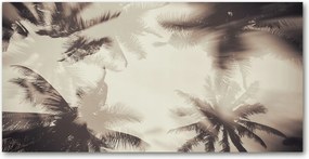 Pálmafa konyhai üvegpanel 120x60 cm Ragasztó