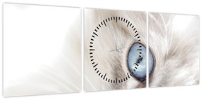 Kép - Kék szemű macska (órával) (90x30 cm)