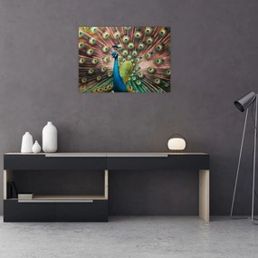 Kép - Páva (70x50 cm)