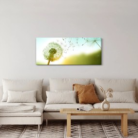 Kép - Pitypang a szélben (120x50 cm)