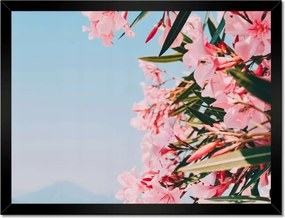 Poszterek keretben 40x30 Virágok