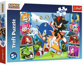 Trefl Puzzle Sonic ismerkedj meg a sündisznóval, 100 darab