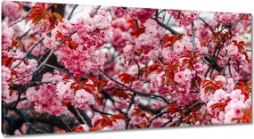 Vászonkép 115x55 Finom virágok Virágok