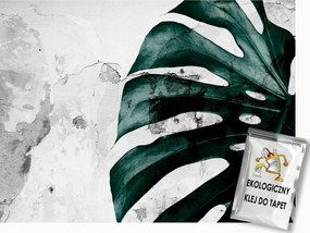 Fotótapéta Flizelina Natura Monster levelek betonon 150x105 ragasztó