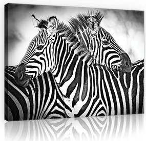 Vászonkép 80x60 Fekete csíkos nyugalom Zebra nappali skandináv stílus