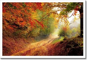 Poszterek keretben 60x40 Tájkép