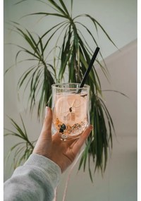 6 db-os fekete üveg szívószál készlet, hosszúság 20 cm - Vialli Design