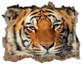 3d lyuk fal dekoráció Bengáli tigris nd-k-88747131