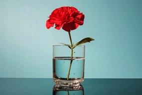 Poszter 45x30cm Virág üvegben