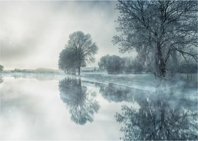 Téli természet képe (üvegen) (70x50 cm)