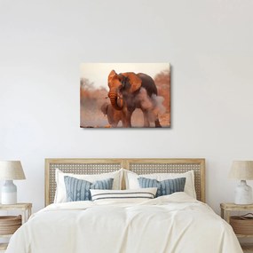 Kép - Nagy afrikai elefánt (70x50 cm)