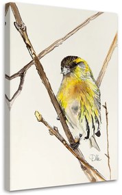 Gario Vászonkép Sárga kíváncsi madár - Dorota Martynska Méret: 40 x 60 cm