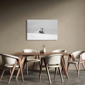Kép - Jegesmedve (90x60 cm)
