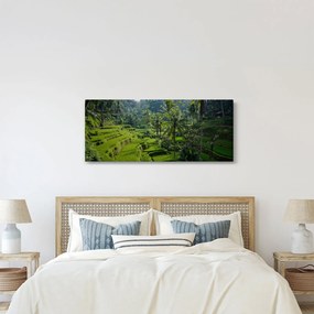 Kép a rizs teraszokról, Tegalalang, Bal (120x50 cm)