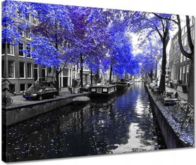 Vászonkép 40x30 Búzavirág Amszterdam