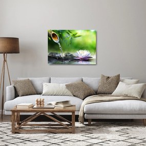 Üveg kép - Lotus (70x50 cm)