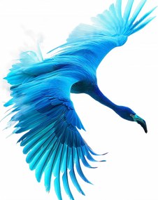 Poszter 40x50cm Kék repülés