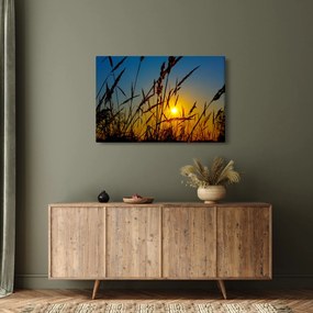 Kép - naplemente a réten (90x60 cm)