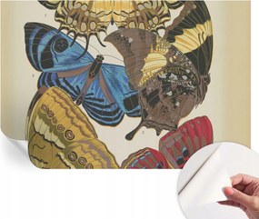 Dekoratív öntapadós fotótapéta Hálószobába Pillangók inspiráció 104x70