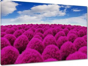 Festmények 120x80 Kifejező rét Tájkép