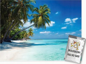 Fotótapéta Tengerpart Pálmafák Tenger Tájkép Falra Hálószoba Nappali 350x250