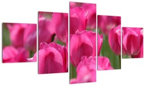 Festmények - tulipánok (125x70cm)