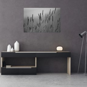 Kép - Fűszálak (90x60 cm)