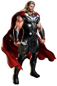 Falmatrica "Thor" 50x70cm