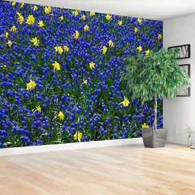 Fotótapéta csillagfürt virágok 104x70 cm