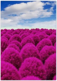 Poszterek A4 Pion Kifejező rét Tájkép