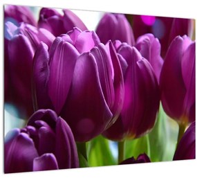 Tulipán képe (üvegen) (70x50 cm)