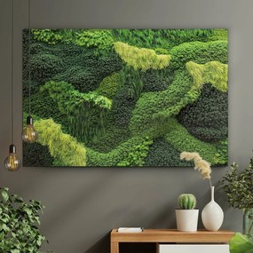 DUBLEZ | Moha fa kép – A természet ösvénye