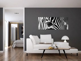 Zebra képe (120x50 cm)