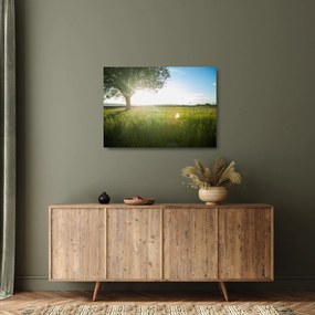 Nyári rét képe (üvegen) (70x50 cm)