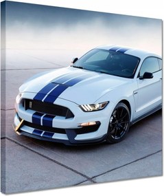 Képek 30x30 Ford Mustang Shelby