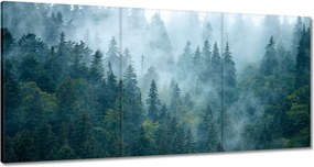 Vászonkép 120x60 Erdő a ködben Utazás