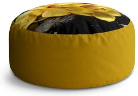 Circle zsámoly sárga orchideák, sárga